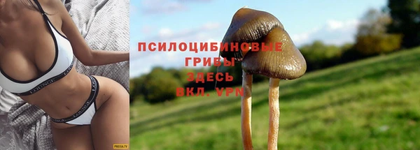 тгк Весьегонск