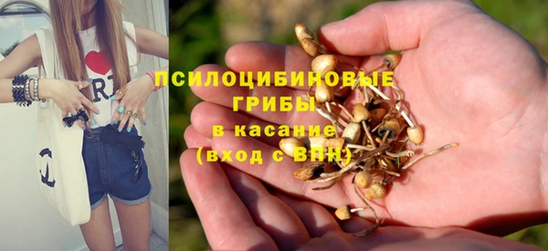 мдпв Сатка