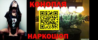 ECSTASY Нальчик