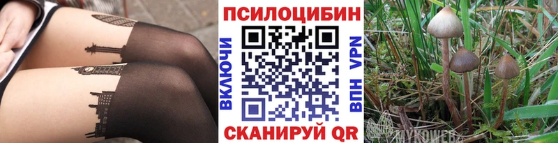 цены наркотик  Братск  Псилоцибиновые грибы Cubensis 