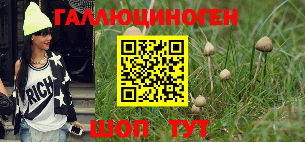 Братск  Вход с VPN  ГАШ  МЕТАДОН  ГАШ  Меф   Конопля 