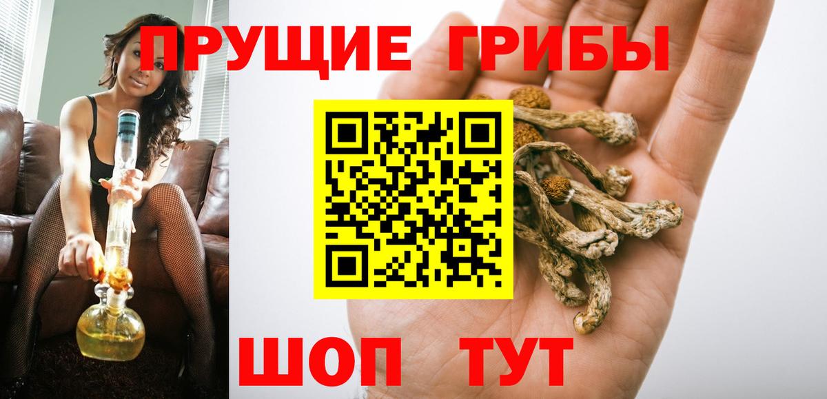 Галлюциногенные грибы Psilocybine cubensis  Вход с VPN  Братск  Галлюциногенные грибы мицелий 